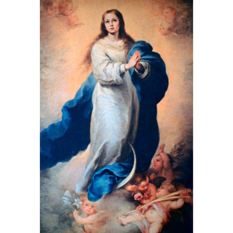 Why the Immaculate Conception Matters for Catholic Families Today