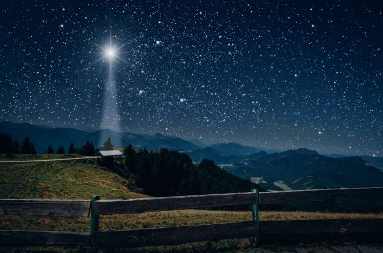 Reflecting on the Holy Family: Lessons for Our Own Families This Christmas Season