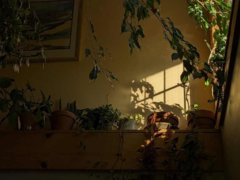 Finding Quiet Moments Amidst the Bustle